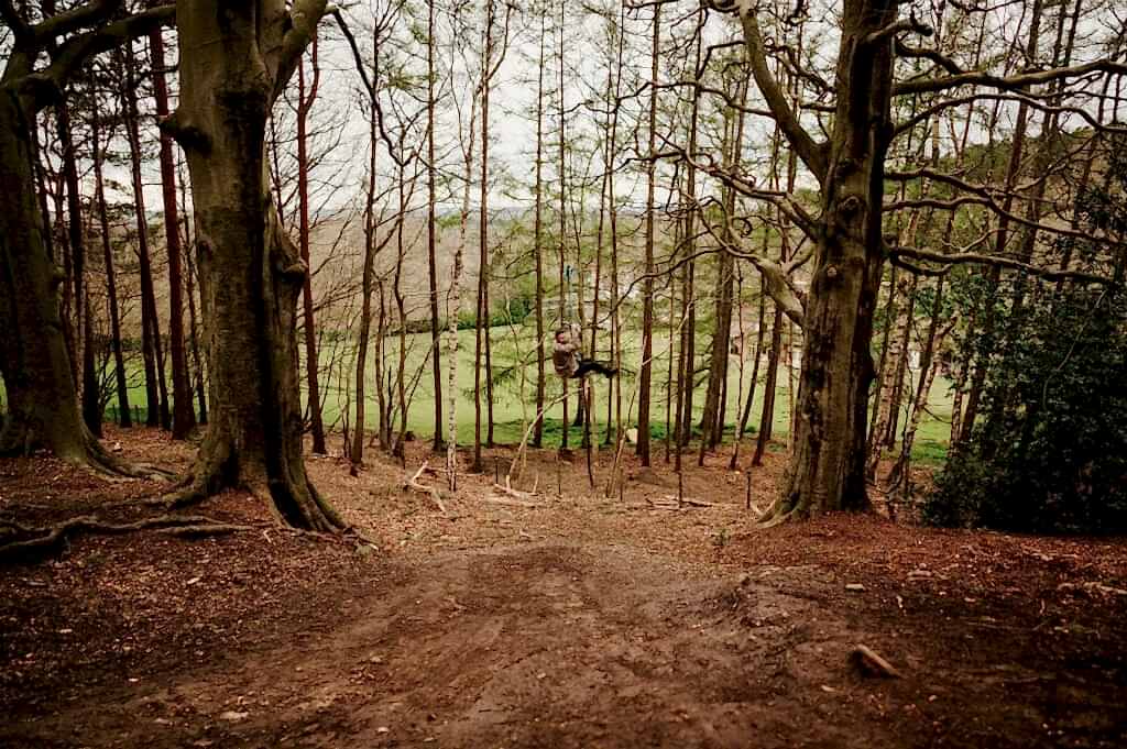 A person is sitting on a swing suspended between two tall trees in a forested area with a grassy field in the background. The ground is covered with fallen leaves and small branches.