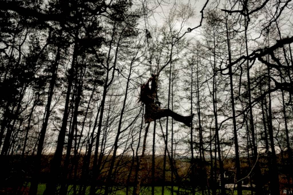 A person swings from a rope in a forest, surrounded by tall trees with bare branches. The sky is overcast, and the ground below is lush and green.